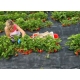Product thumb miniature