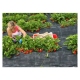 Product thumb miniature