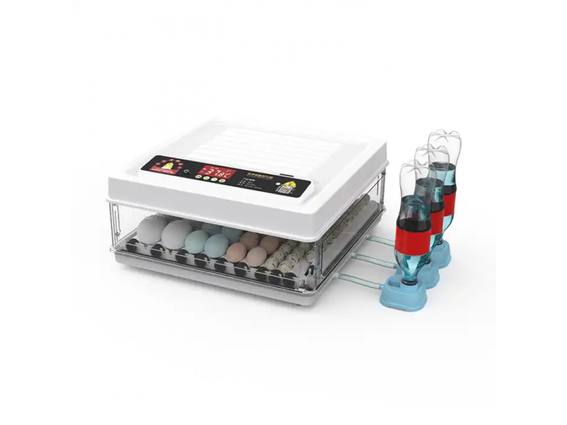 Incubatoar automat Demetra slider image Incubatoar automat Demetra image